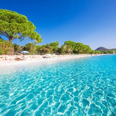 Maison D'une A Vecchio Avec Jardin Clos Et Wifi A 4 Km De La Plage بورتو فيكشْيو